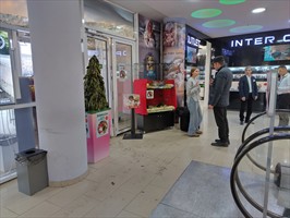 Aber hier mal was nobles. Der Tierschutz sammelt Spenden. Es gibt überall auf der Welt solche und solche