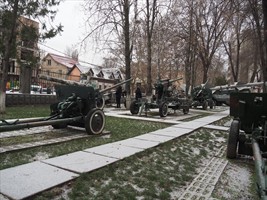 Im Vorgarten Geschütze