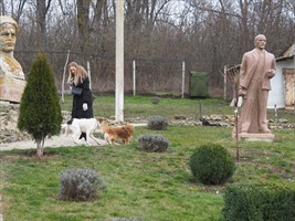 Gibt auch vierbeinig Freunde hier