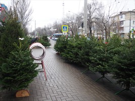 Was im russischen Kalender noch gar nicht stattgefunden hat. Erst man 7. Januar. Deswegen kann man hier überall Bäume kaufen