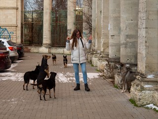 Das ist die internationale Geste für "Alle, alle"